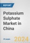 Potassium Sulphate Market in China: 2016-2022 Review and Forecast to 2026 - Product Image