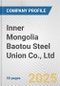 Inner Mongolia Baotou Steel Union Co., Ltd. Fundamental Company Report Including Financial, SWOT, Competitors and Industry Analysis - Product Thumbnail Image