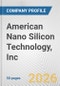 American Nano Silicon Technology, Inc. Fundamental Company Report Including Financial, SWOT, Competitors and Industry Analysis - Product Thumbnail Image
