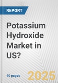 Potassium Hydroxide Market in US?: 2017-2023 Review and Forecast to 2027- Product Image