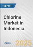 Chlorine Market in Indonesia: 2019-2024 Review and Forecast to 2029- Product Image