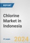Chlorine Market in Indonesia: 2016-2022 Review and Forecast to 2026 - Product Thumbnail Image