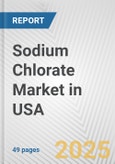 Sodium Chlorate Market in USA: 2019-2024 Review and Forecast to 2029- Product Image