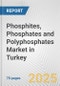 Phosphites, Phosphates and Polyphosphates Market in Turkey: Business Report 2024 - Product Thumbnail Image