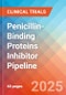 Penicillin-Binding Proteins (PBPs) Inhibitor - Pipeline Insight, 2025 - Product Thumbnail Image