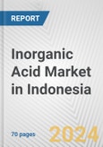Inorganic Acid Market in Indonesia: Business Report 2024- Product Image