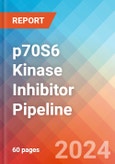 p70S6 Kinase (p70S6K or 70-kDa Ribosomal Protein S6 Kinase) Inhibitor - Pipeline Insight, 2024- Product Image