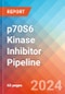 p70S6 Kinase (p70S6K or 70-kDa Ribosomal Protein S6 Kinase) Inhibitor - Pipeline Insight, 2024 - Product Image