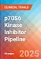 p70S6 Kinase (p70S6K or 70-kDa Ribosomal Protein S6 Kinase) Inhibitor - Pipeline Insight, 2024 - Product Thumbnail Image