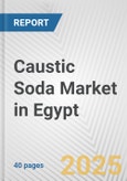 Caustic Soda Market in Egypt: 2019-2024 Review and Forecast to 2029- Product Image