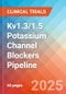 Kv1.3/1.5 Potassium Channel Blockers - Pipeline Insight, 2024 - Product Image