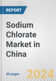 Sodium Chlorate Market in China: 2017-2023 Review and Forecast to 2027- Product Image