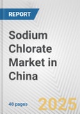 Sodium Chlorate Market in China: 2019-2024 Review and Forecast to 2029- Product Image