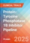 Protein-Tyrosine Phosphatase 1B (PTP1B) Inhibitor - Pipeline Insight, 2024 - Product Image