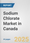 Sodium Chlorate Market in Canada: 2019-2024 Review and Forecast to 2029- Product Image