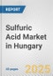 Sulfuric Acid Market in Hungary: 2019-2024 Review and Forecast to 2029 - Product Thumbnail Image