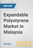 Expandable Polystyrene Market in Malaysia: 2019-2024 Review and Forecast to 2029- Product Image