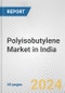 Polyisobutylene Market in India: 2017-2023 Review and Forecast to 2027 - Product Thumbnail Image