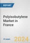 Polyisobutylene Market in France: 2017-2023 Review and Forecast to 2027 - Product Image