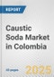 Caustic Soda Market in Colombia: 2019-2024 Review and Forecast to 2029 - Product Thumbnail Image