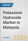 Potassium Hydroxide Market in Malaysia: 2017-2023 Review and Forecast to 2027- Product Image