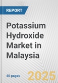 Potassium Hydroxide Market in Malaysia: 2019-2024 Review and Forecast to 2029- Product Image