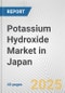 Potassium Hydroxide Market in Japan: 2019-2024 Review and Forecast to 2029 - Product Thumbnail Image