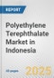 Polyethylene Terephthalate Market in Indonesia: 2017-2023 Review and Forecast to 2027 - Product Image