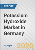 Potassium Hydroxide Market in Germany: 2019-2024 Review and Forecast to 2029- Product Image