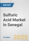 Sulfuric Acid Market in Senegal: 2019-2024 Review and Forecast to 2029 - Product Thumbnail Image