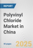 Polyvinyl Chloride Market in China: 2019-2024 Review and Forecast to 2029- Product Image