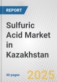 Sulfuric Acid Market in Kazakhstan: 2019-2024 Review and Forecast to 2029- Product Image