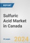 Sulfuric Acid Market in Canada: 2017-2023 Review and Forecast to 2027 - Product Thumbnail Image