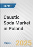 Caustic Soda Market in Poland: 2019-2024 Review and Forecast to 2029- Product Image