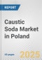Caustic Soda Market in Poland: 2019-2024 Review and Forecast to 2029 - Product Thumbnail Image