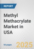 Methyl Methacrylate Market in USA: 2019-2024 Review and Forecast to 2029- Product Image