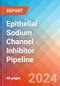 Epithelial Sodium Channel (ENaC) Inhibitor - Pipeline Insight, 2022 - Product Thumbnail Image