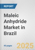 Maleic Anhydride Market in Brazil: 2019-2024 Review and Forecast to 2029- Product Image