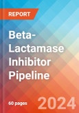Beta-Lactamase Inhibitor - Pipeline Insight, 2024- Product Image
