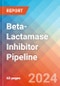 Beta-Lactamase Inhibitor - Pipeline Insight, 2022 - Product Image