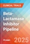 Beta-Lactamase Inhibitor - Pipeline Insight, 2024 - Product Thumbnail Image