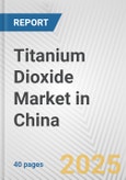 Titanium Dioxide Market in China: 2019-2024 Review and Forecast to 2029- Product Image