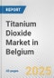 Titanium Dioxide Market in Belgium: 2019-2024 Review and Forecast to 2029 - Product Thumbnail Image