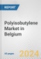 Polyisobutylene Market in Belgium: 2017-2023 Review and Forecast to 2027 - Product Thumbnail Image