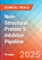 Non-Structural Protein 5 Inhibitor - Pipeline Insight, 2024 - Product Image