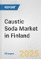 Caustic Soda Market in Finland: 2019-2024 Review and Forecast to 2029 - Product Thumbnail Image