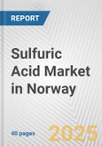 Sulfuric Acid Market in Norway: 2019-2024 Review and Forecast to 2029- Product Image