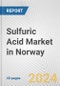 Sulfuric Acid Market in Norway: 2017-2023 Review and Forecast to 2027 - Product Thumbnail Image