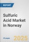 Sulfuric Acid Market in Norway: 2017-2023 Review and Forecast to 2027 - Product Thumbnail Image