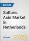 Sulfuric Acid Market in Netherlands: 2019-2024 Review and Forecast to 2029 - Product Thumbnail Image